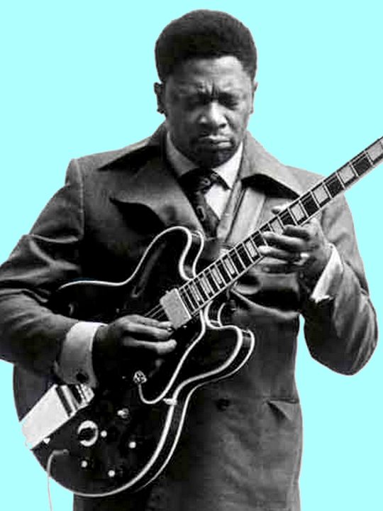 Original 1976 Gibson ES-355, in Cherry. BB King plays his 355