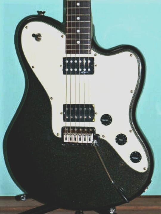 Pro model Native, with the Sustainer circuitry