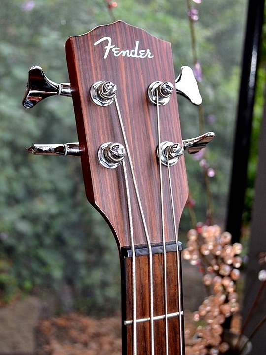 Fender and Fishman - a great acoustic-electric bass pairing