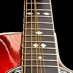 Perfect frets and board. And LOVELY oak leaf rosette inlay