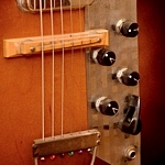''Pancake'' pickups, Supro-style knobs, funky-cool selector switch!