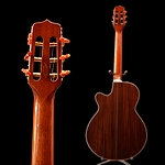 One-piece Mahogany neck, Indian Rosewood back and sides