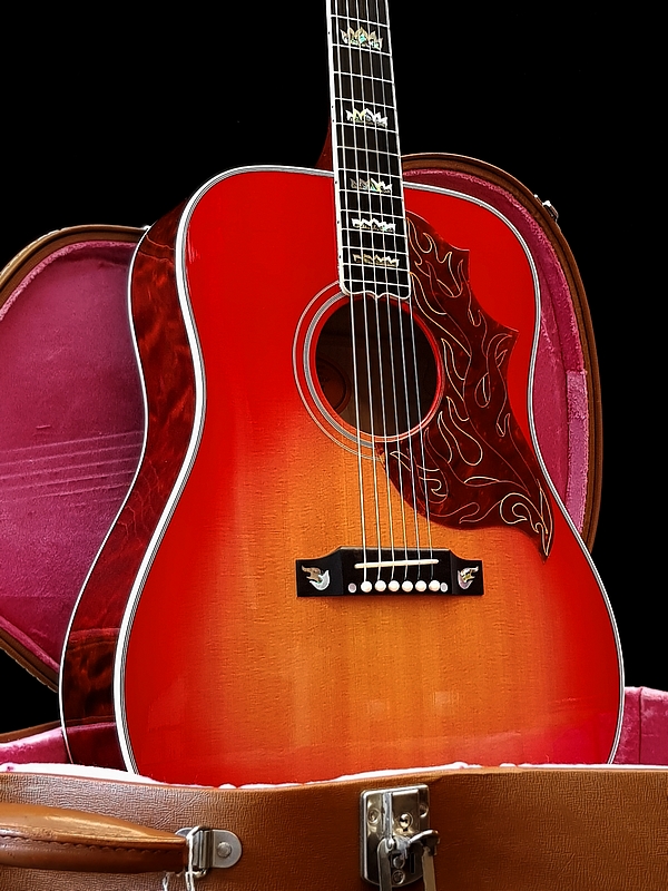 Gibson Firebird Custom-Acoustic - limited edition