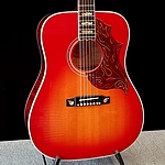 Gibson Firebird Custom-Acoustic - limited edition