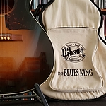 Deep Spruce grain, deluxe Blues King gig bag
