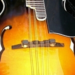 Bean Blossom BM100 mandolin. Spruce top, Rosewood board and bridge