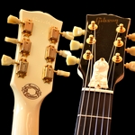 Matching pearl truss-rod cover