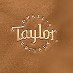 Original Taylor gig bag