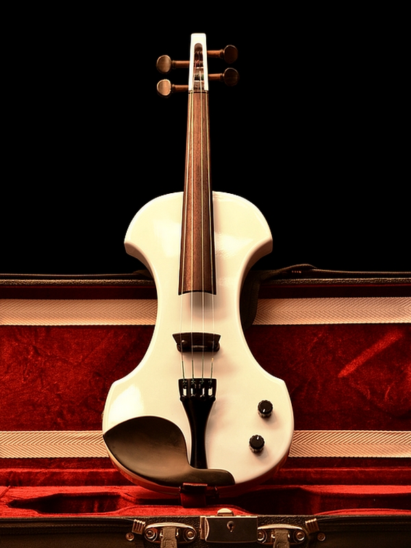 Fender FV-1 Electric Violin, 1999